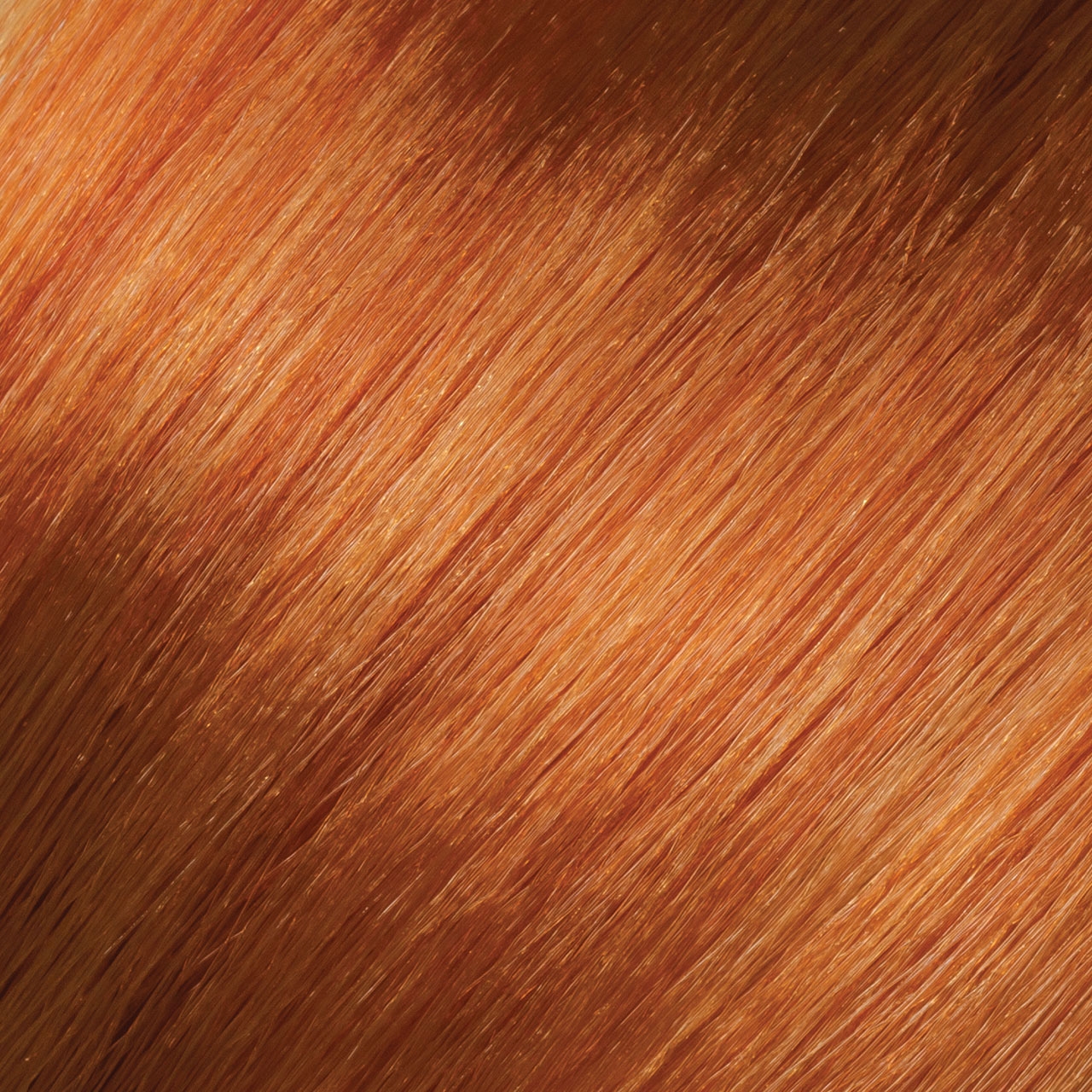ビカクシダAuburn (Lisawa) x Copper will PROFESSIONAL Healing Color 8C- Medium Copper Blonde