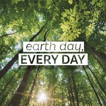 Missed Earth Day? 6 Creative Ways to Celebrate Earth Day in the Salon Every Day