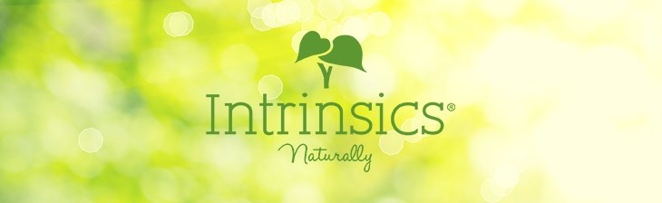Intrinsics Brand Banner