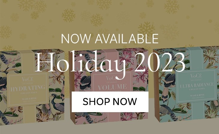 VoCe Holiday Banner