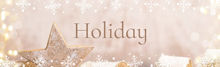 _CATEGORY Holiday 2023