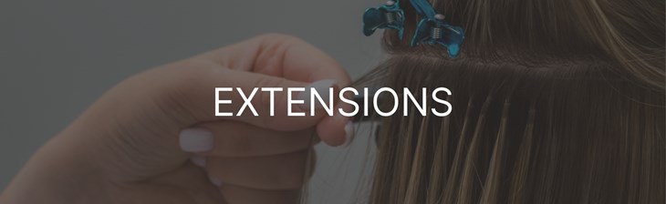 CATEGORY GENERIC Single Extensions