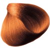 All-Nutrient 7IC- Light Intense Copper Blonde 3.5 Fl. Oz.