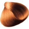 All-Nutrient 8IC- Brilliant Intense Copper Blonde 3.5 Fl. Oz.