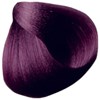 All-Nutrient V- Violet Accent 2 Fl. Oz.