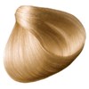 All-Nutrient 10B- Very Light Beige Blonde 2 Fl. Oz.