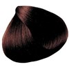 All-Nutrient 4BR- Dark Auburn 2 Fl. Oz.