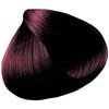 All-Nutrient 4RM- Dark Ruby Mahogany 2 Fl. Oz.