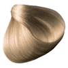 All-Nutrient 10NE- Very Light Neutral Blonde (PPD-Free Series) 3.5 Fl. Oz.