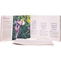 Davines Essential Haircare Consumer Brochure 24 pk.