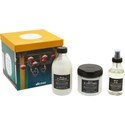 Davines Celebrate the Holidays - OI 3 pc.