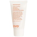 evo atonement colour protect shampoo 1 Fl. Oz.