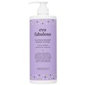 evo platinum blonde toning shampoo Liter