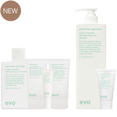 evo grounds keeper kit 34 pc.