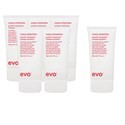 evo Purchase 5 mane attention protein treatment, Get 1 FREE 6 pc.