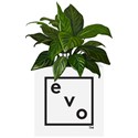 evo planter box