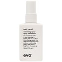 evo root canal volumising spray travel 1.7 Fl. Oz.
