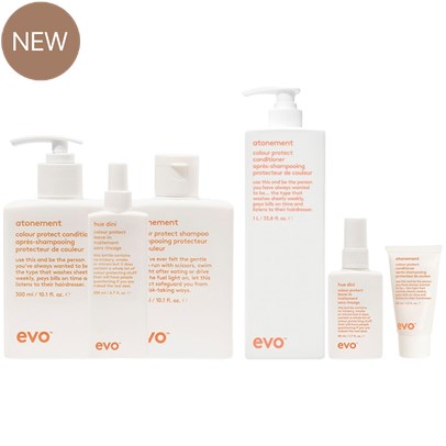 evo safe hands stylist kit 22 pc.
