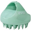 evo clean sweep head scrubber