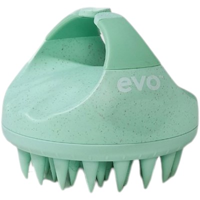 evo clean sweep head scrubber