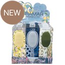 Framar Limoncello Detangle Brush Display 9 pc.
