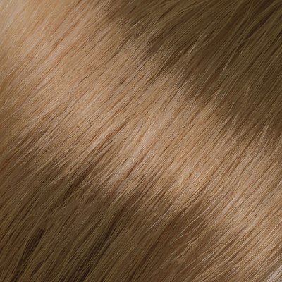 L'ANZA 10N- Very Light Natural Blonde 3 Fl. Oz.