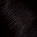 L'ANZA 3N- Darkest Natural Brown 3 Fl. Oz.