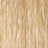 milk_shake 10.3/10G- golden platinum lightest blond 2.03 Fl. Oz.