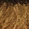 milk_shake 6.00- Dark Blond 3.4 Fl. Oz.