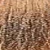 milk_shake 7.13- Ash Golden Medium Blond 3.4 Fl. Oz.