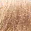 milk_shake 9.13- Ash Gold Very Light Blond 3.4 Fl. Oz.
