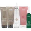 Surface Hair HEAD SPA BACKBAR INTRO 23 pc.