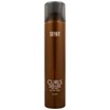 Surface Hair FINISHING SPRAY 10 Fl. Oz.