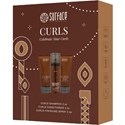 Surface Hair CURLS TRAVEL GIFT SET 3 pc.