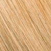 Surface Hair 9G GOLD- HONEY 2 Fl. Oz.