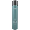 Surface Hair THEORY FINISHING SPRAY 12 Fl. Oz.